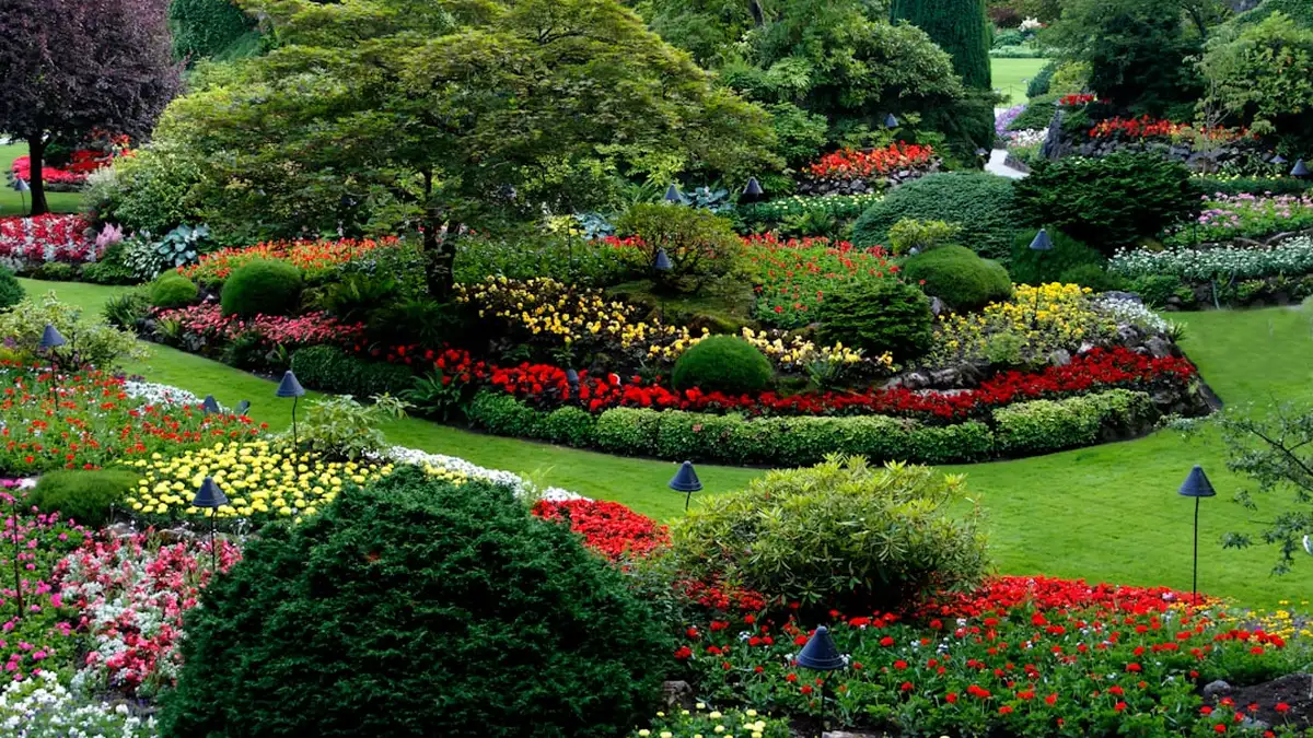 Aménagement paysager : inspiration jardin