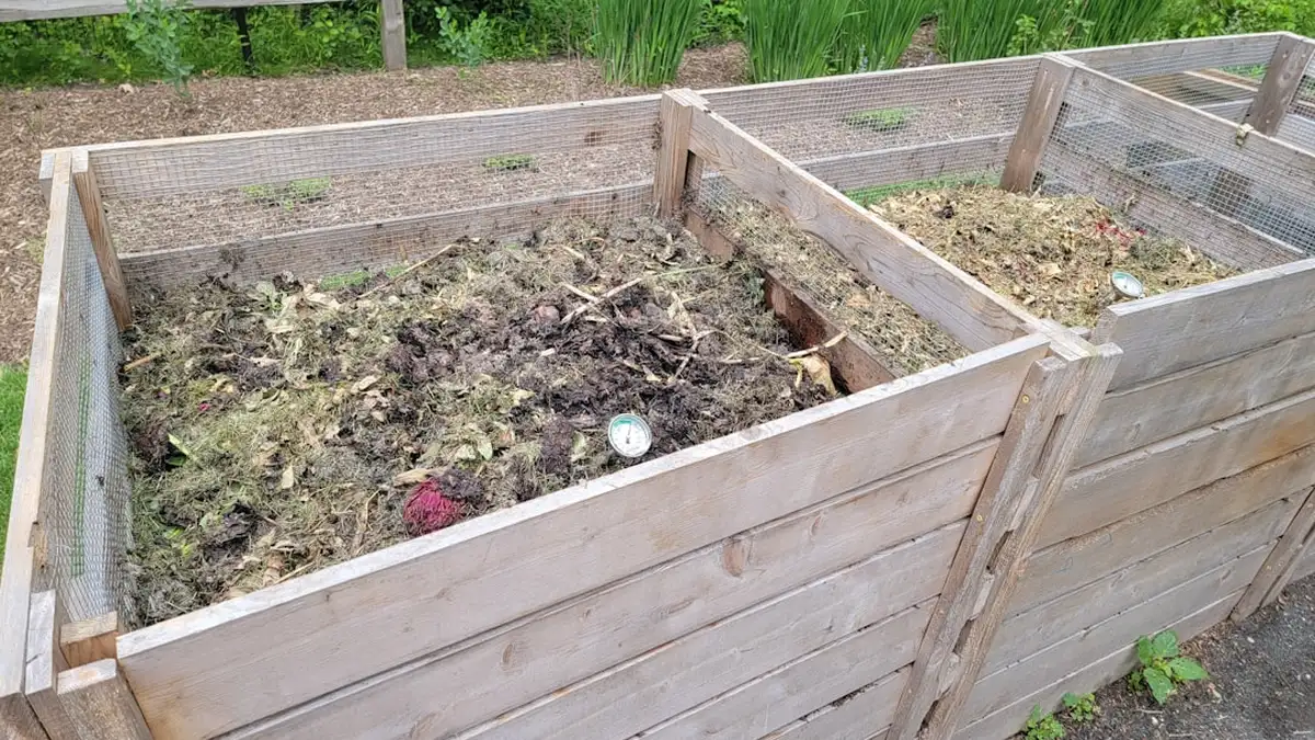 Faire son compost au jardin : le bon équilibre