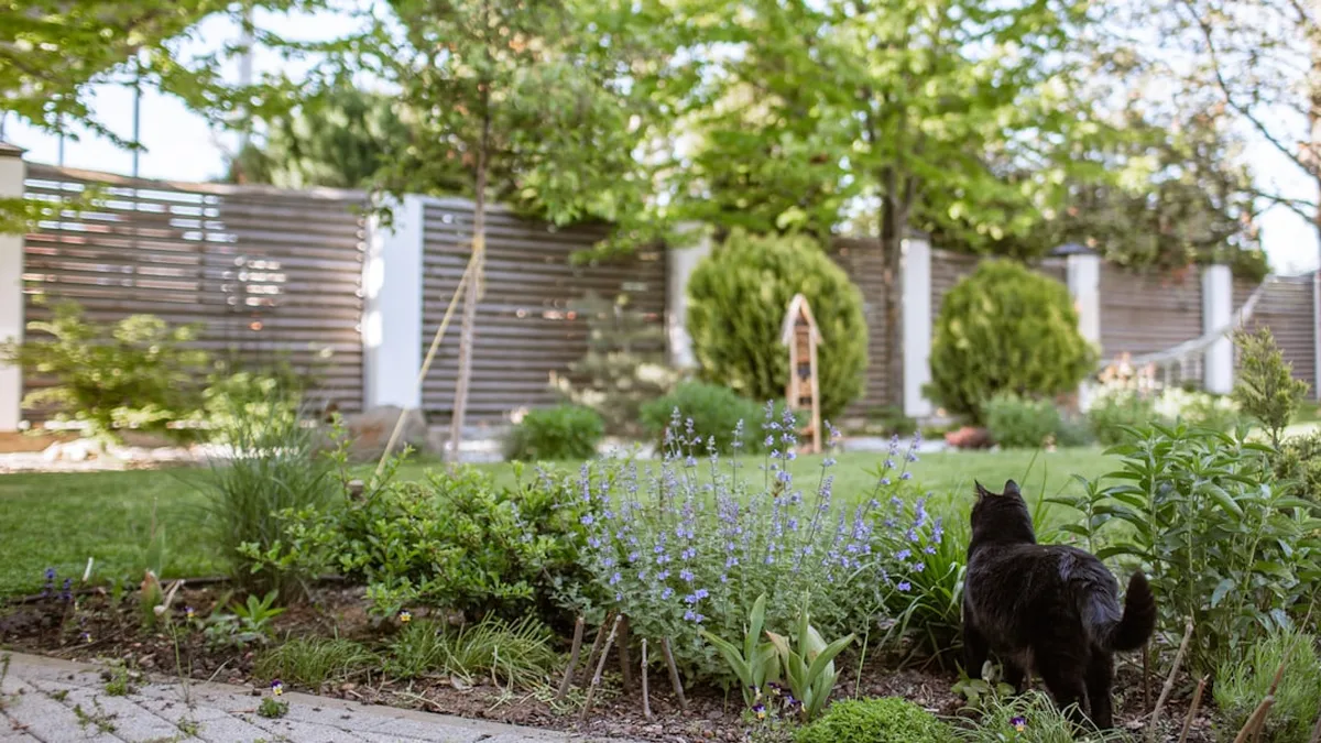Aménager un petit jardin : zones, hauteur et circulation